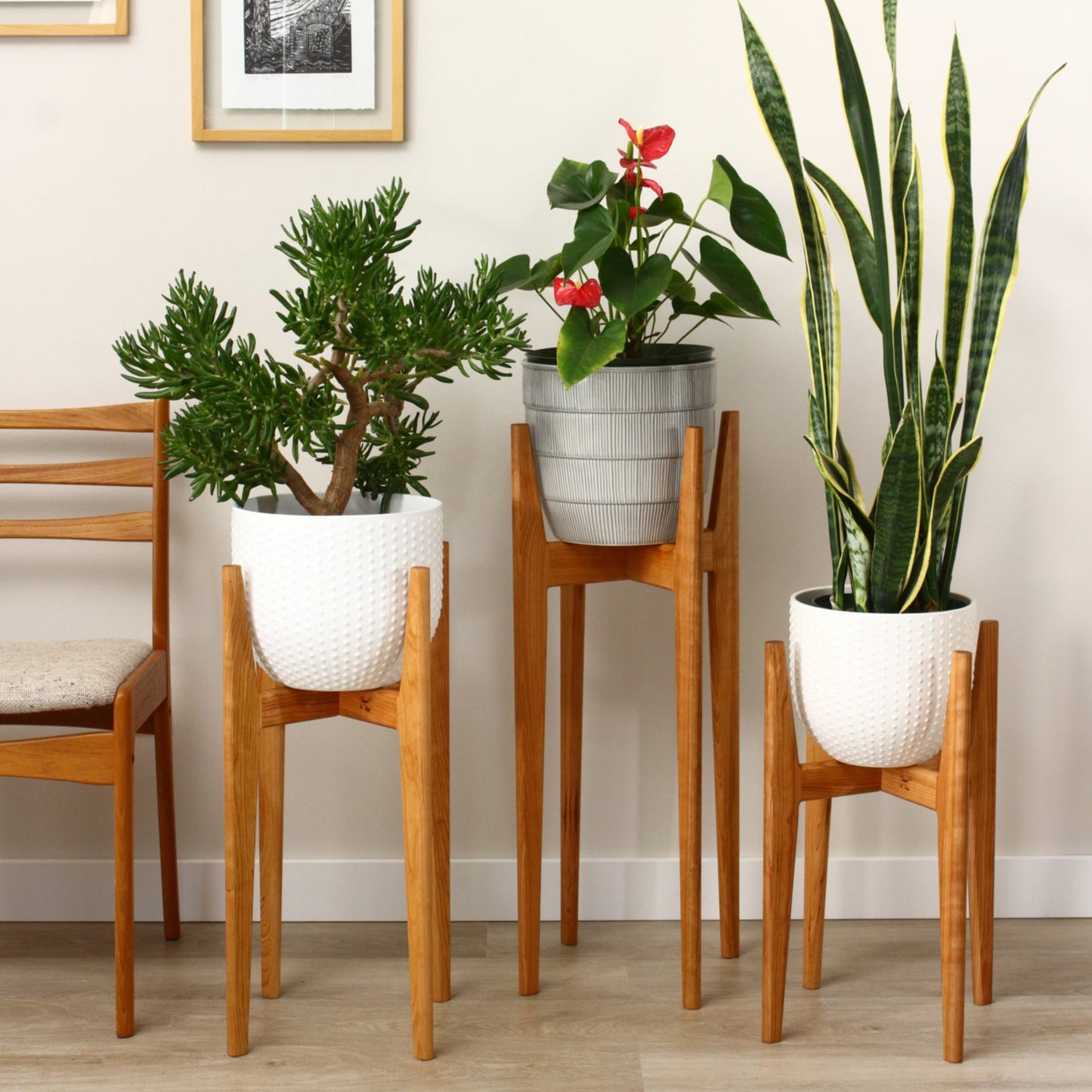Set of three elegant modern indoor plant stands
