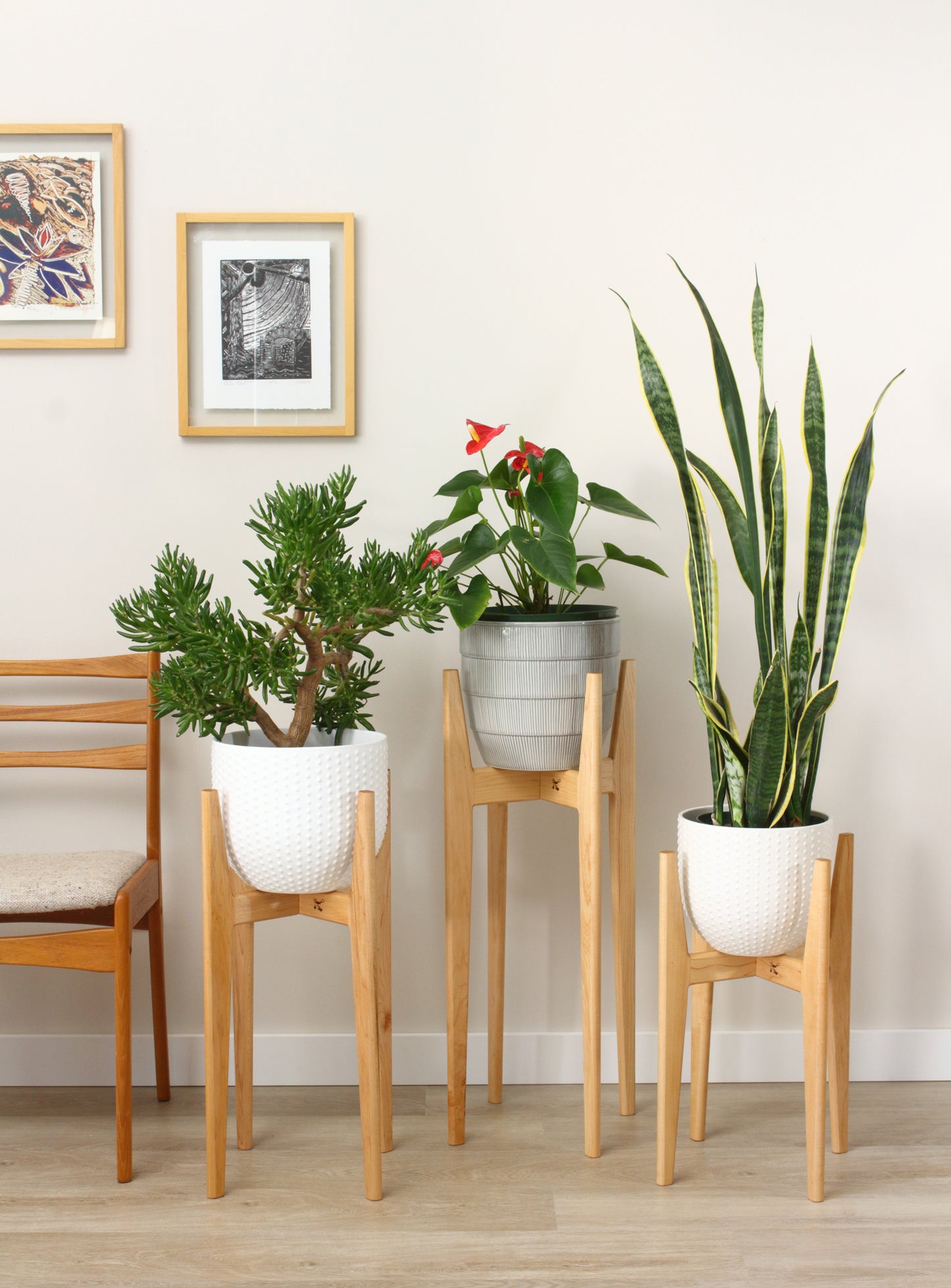 Set of three elegant modern indoor plant stands