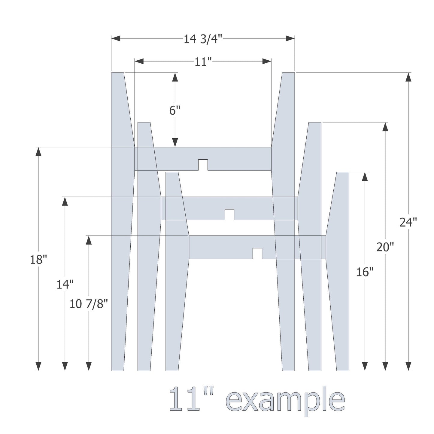 Canadian Ash from 16" to 30" tall