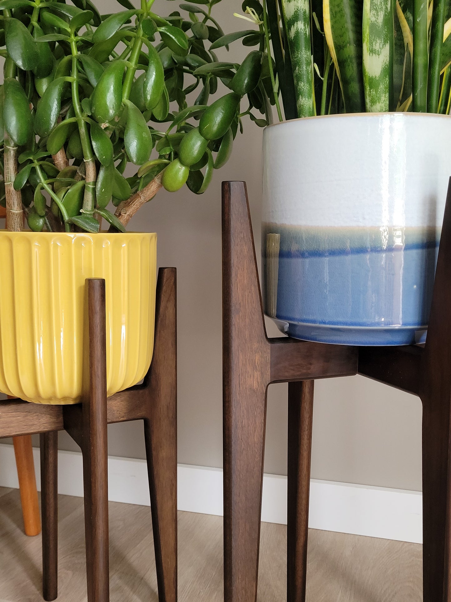 Stained Walnut Stands