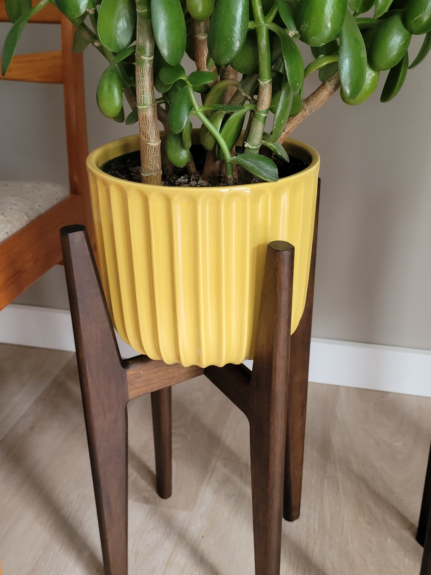 Stained Walnut Stands