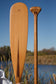 a beavertail canoe paddle that has a light colored blade and a dark inlay for the grip and shaft. made with BC fir and walnut and cherry hardwood. the picture shows a detail of the grip and blade